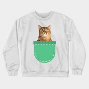 Grey Tabby Cat in Pocket Crewneck Sweatshirt